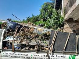 Best Construction Debris Removal  in Elk Grove Vlage, IL