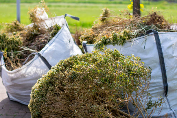 Same-Day Junk Removal Services in Elk Grove Village, IL