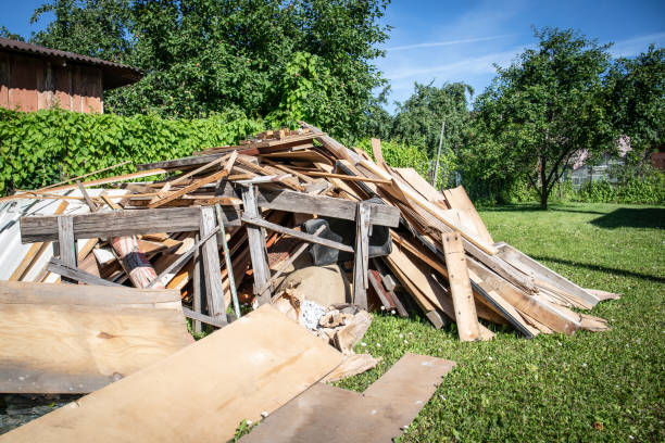 Best Shed Removal  in Elk Grove Vlage, IL